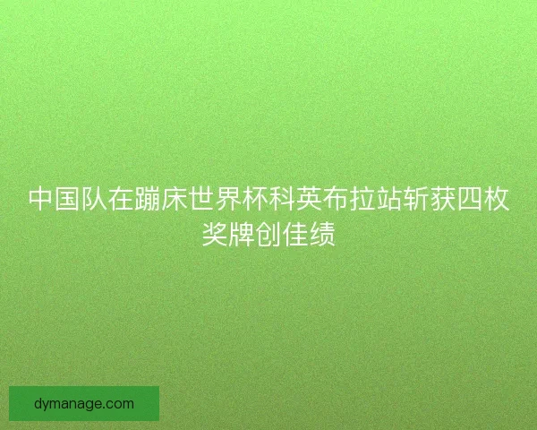 中国队在蹦床世界杯科英布拉站斩获四枚奖牌创佳绩