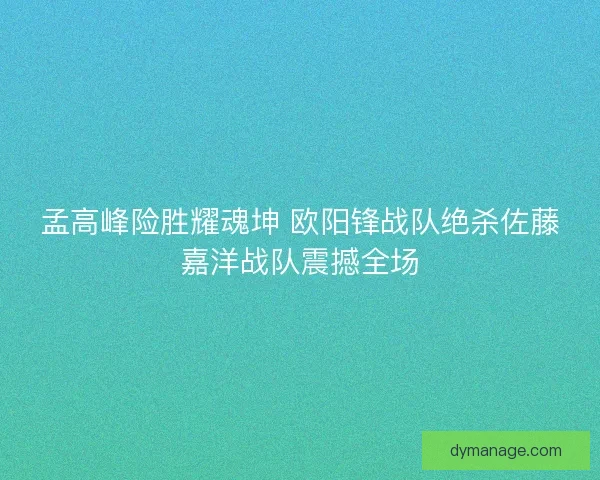 孟高峰险胜耀魂坤 欧阳锋战队绝杀佐藤嘉洋战队震撼全场