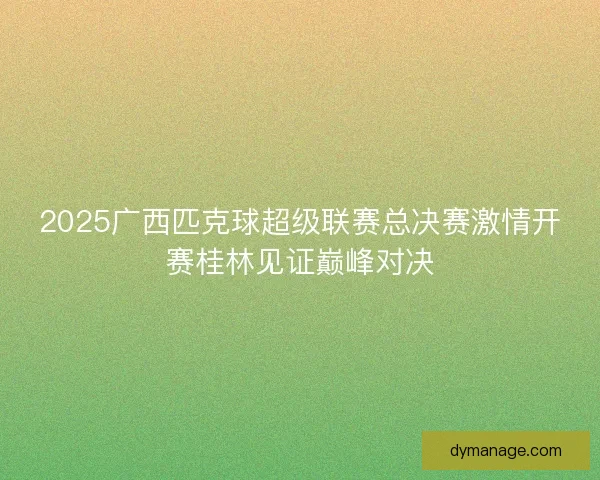 2025广西匹克球超级联赛总决赛激情开赛桂林见证巅峰对决