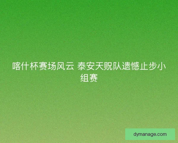 喀什杯赛场风云 泰安天贶队遗憾止步小组赛 喀什杯赛场风云 泰安天贶队遗憾止步小组赛